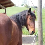 Le Dame Country House, Marche Gospodarstwo agroturystyczne *