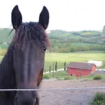 Le Dame Country House, Marche Gospodarstwo agroturystyczne *