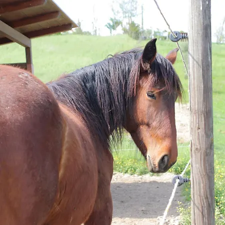 Le Dame Country House, Marche Alloggio per agriturismo *