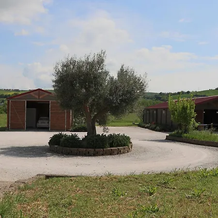 Le Dame Maneggio & Agriturismo, Marche * 蒙特格拉纳罗