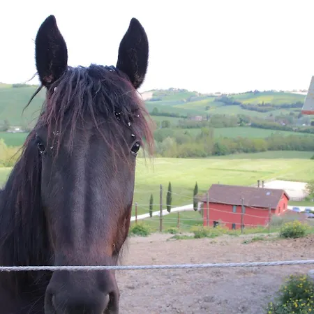 Le Dame Maneggio & Agriturismo, Marche Κατάλυμα σε φάρμα *