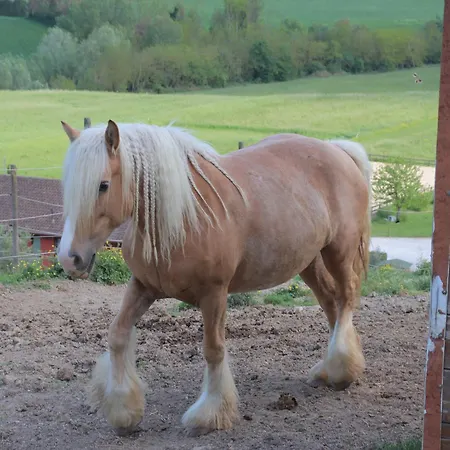 Alloggio per agriturismo Le Dame Country House, Marche *
