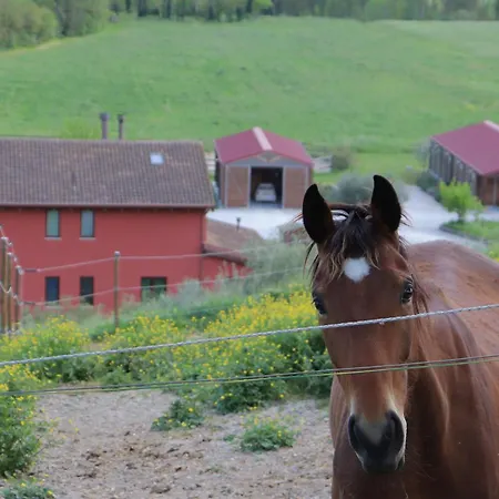 Le Dame Maneggio & Agriturismo, Marche * 蒙特格拉纳罗