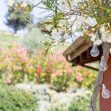 农家乐 Le Dame Maneggio & Agriturismo, Marche